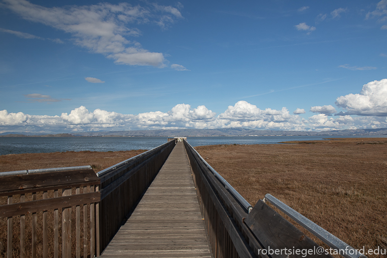 palo alto baylands 2021